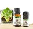 Basil Organic Essential Oil