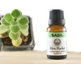 Basil Organic Essential Oil