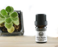 Eucalyptus Organic Essential Oil