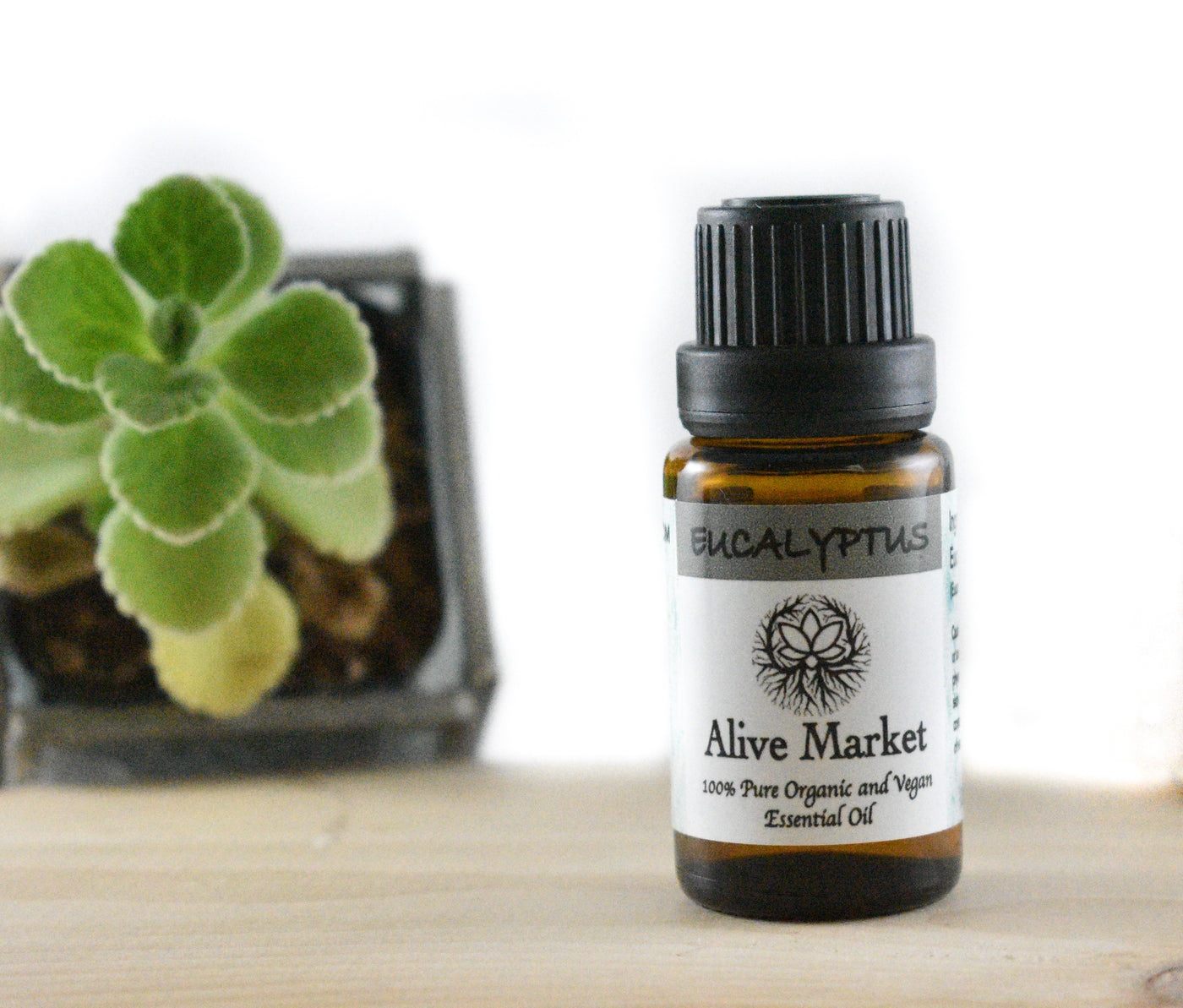 Eucalyptus Organic Essential Oil