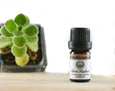 Frankincense Organic Essential Oil