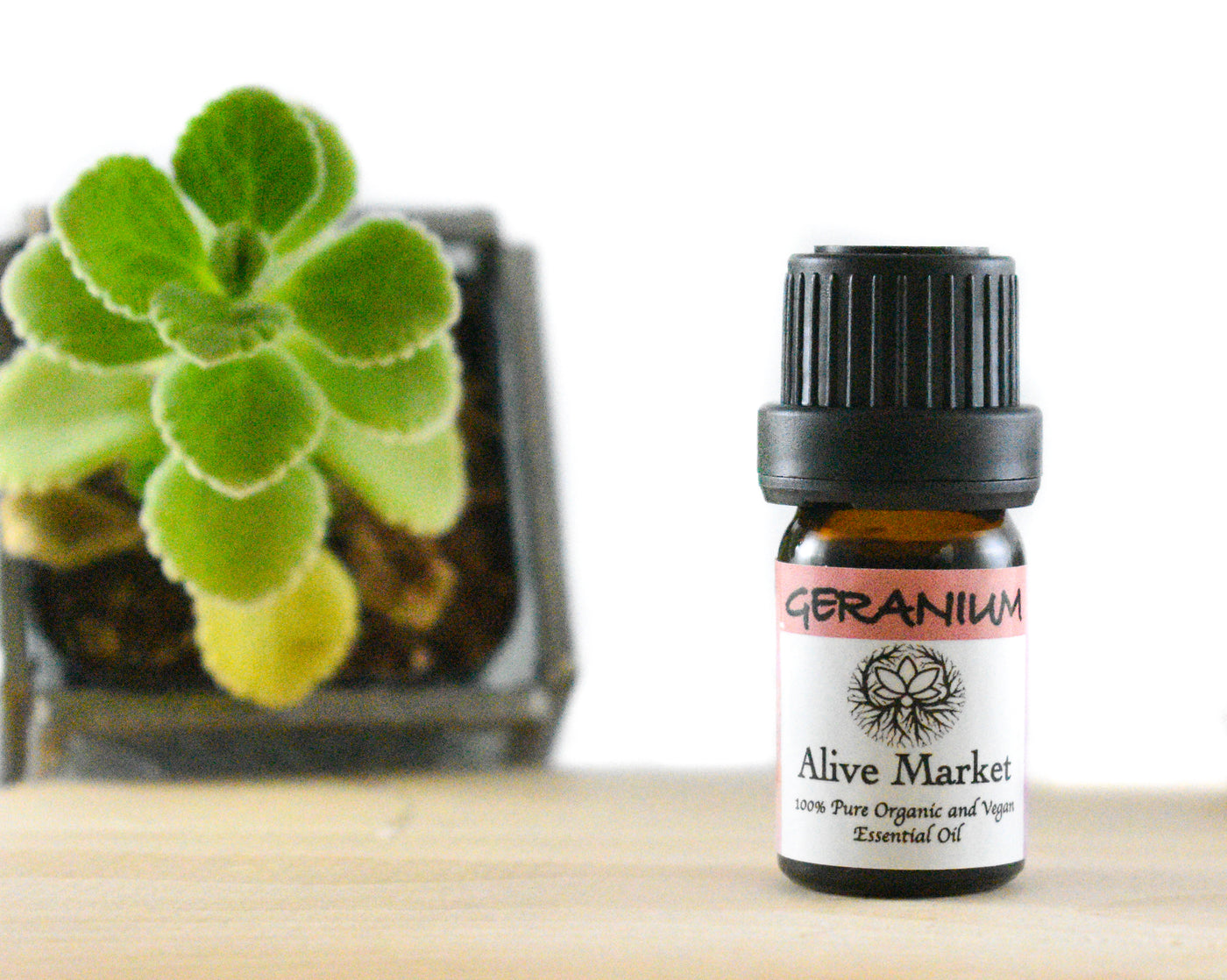 NEW! Geranium Organic Essential Oil