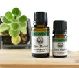 NEW! Ho Wood Organic Essential Oil