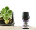 Lavender Organic Essential Oils