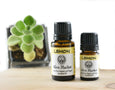 Lemon Organic Essential Oil