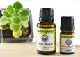 Lemongrass Organic Essential Oil