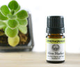 Lemongrass Organic Essential Oil