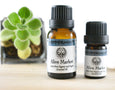 Peppermint Organic Essential Oil