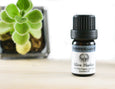 Peppermint Organic Essential Oil